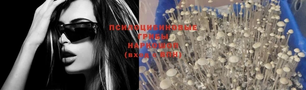 спайс Абинск